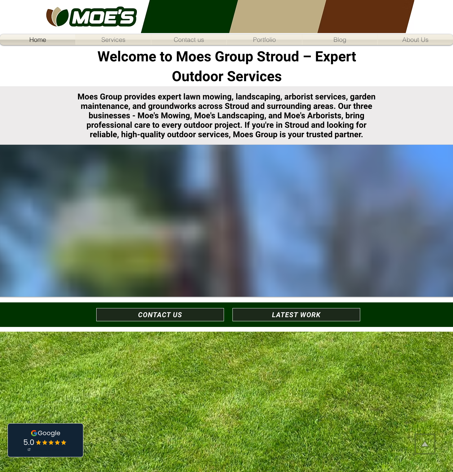 Moe's Group current website